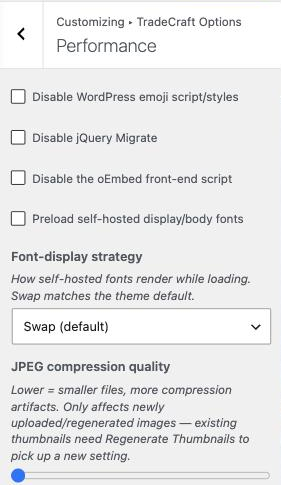 Customizer to Performance section, showing the four checkboxes, the Font-display select and the JPEG quality range slider.